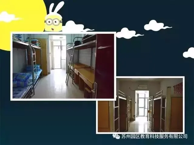 职业篮球教练如何制定有效的赛制训练计划?_2